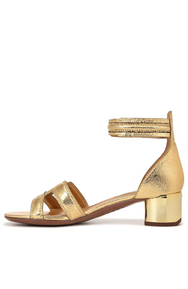 Women's Nora Ankle Strap Low Block Heel Sandal Heeled